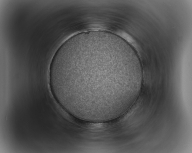 X0000089691431200707121328