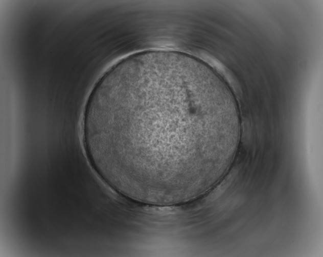 X0000089691432200707121328