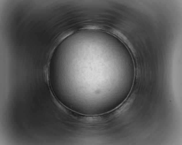 X0000089691433200707121328