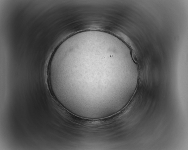 X0000089691435200707121328