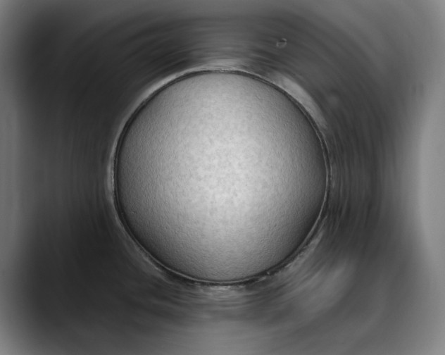 X0000089691436200707121328