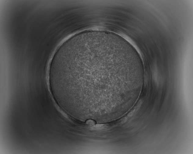 X0000089691437200707121328