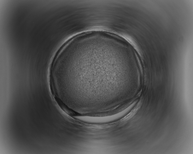 X0000089691438200707121328