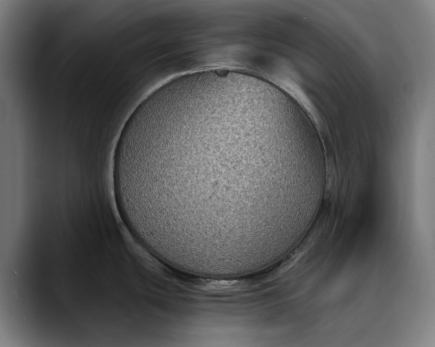 X0000089691439200707121328