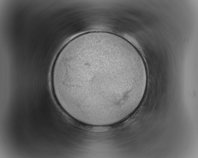 X0000089691440200707121328