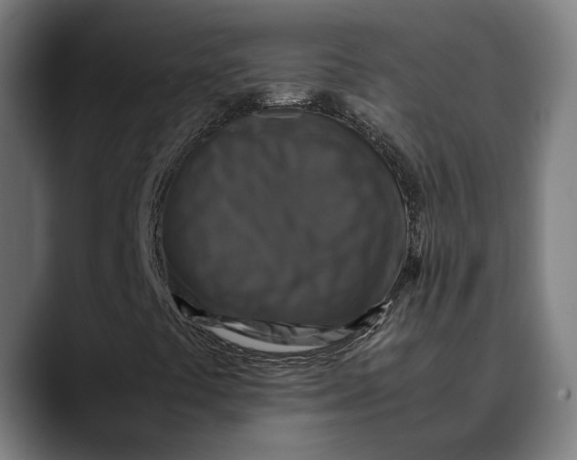 X0000089691441200707121328