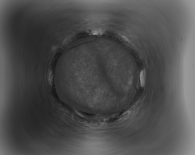 X0000089691443200707121328