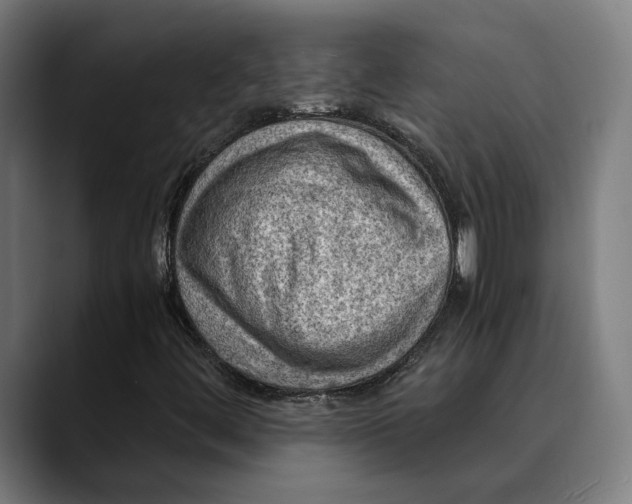 X0000089691444200707121327