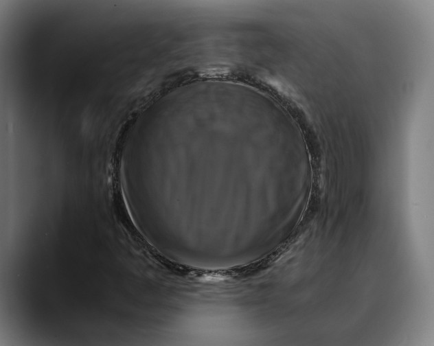 X0000089691445200707121327