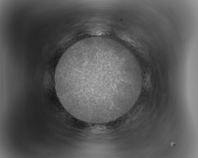 X0000089691446200707121327