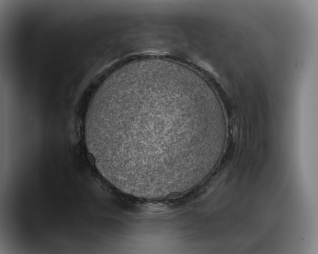 X0000089691448200707121327