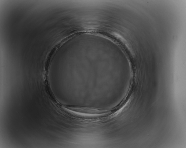 X0000089691449200707121327