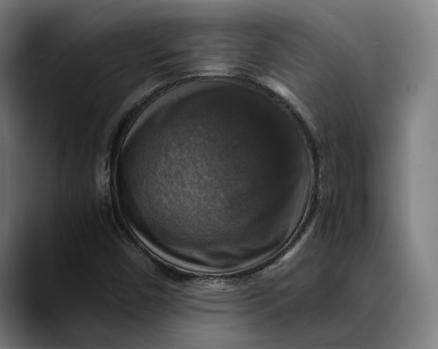 X0000089691450200707121327