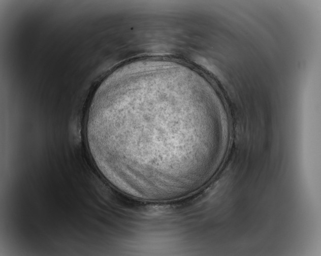 X0000089691451200707121327