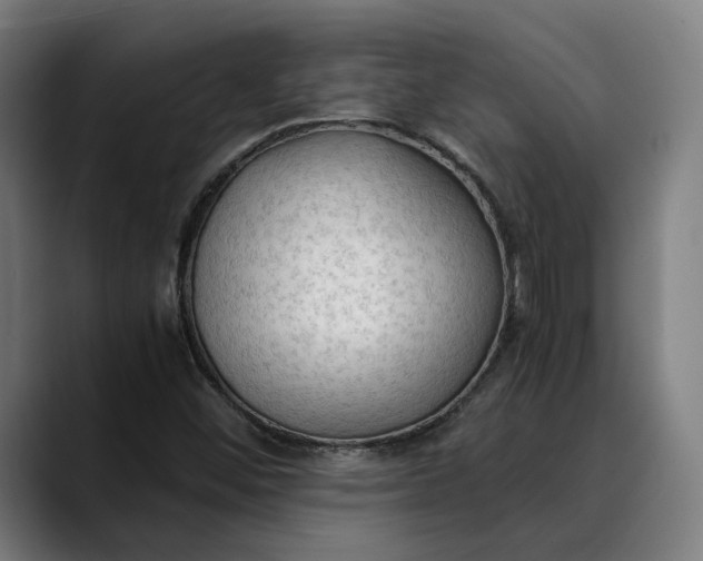 X0000089691452200707121327