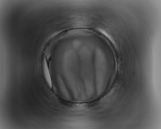 X0000089691453200707121327