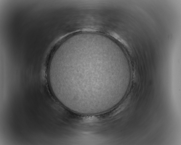 X0000089691454200707121327