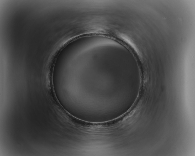 X0000089691455200707121327