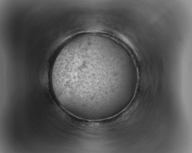 X0000089691456200707121327