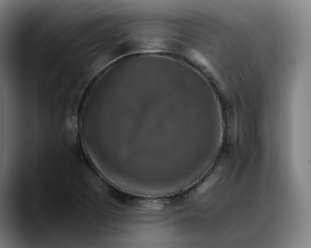 X0000089691457200707121327