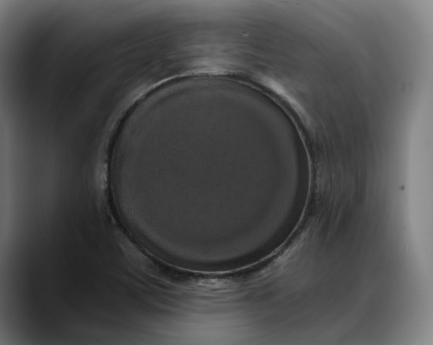 X0000089691459200707121327