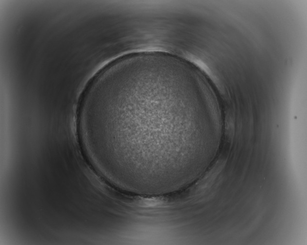 X0000089691460200707121327