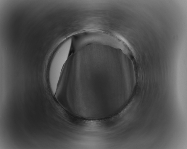 X0000089691461200707121327