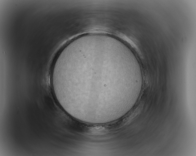 X0000089691462200707121327