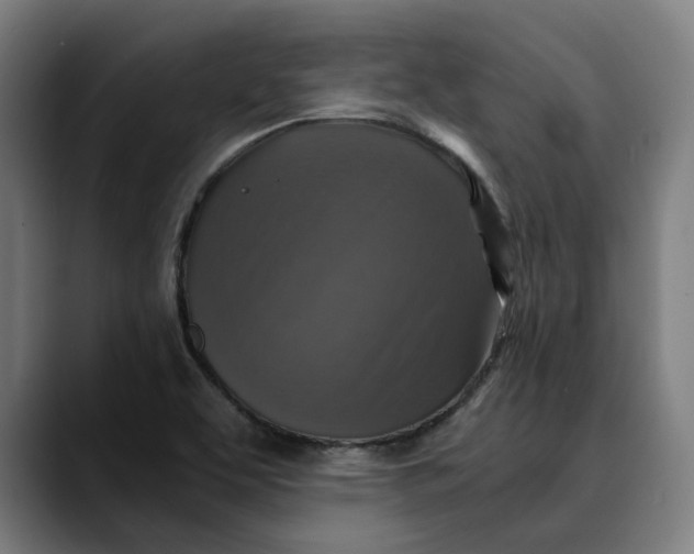 X0000089691463200707121327