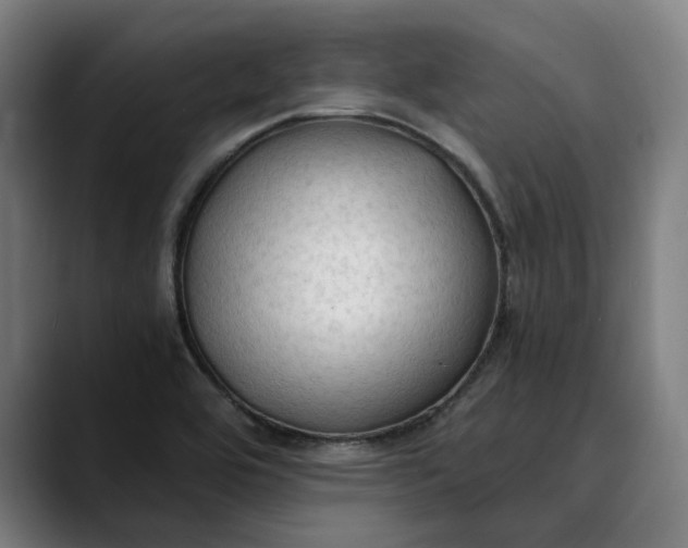 X0000089691464200707121327