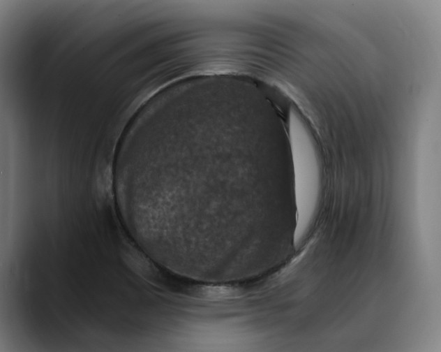 X0000089691465200707121327