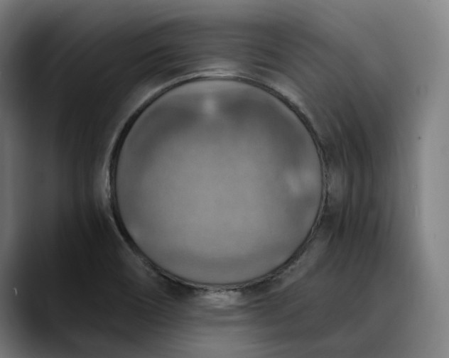 X0000089691466200707121327