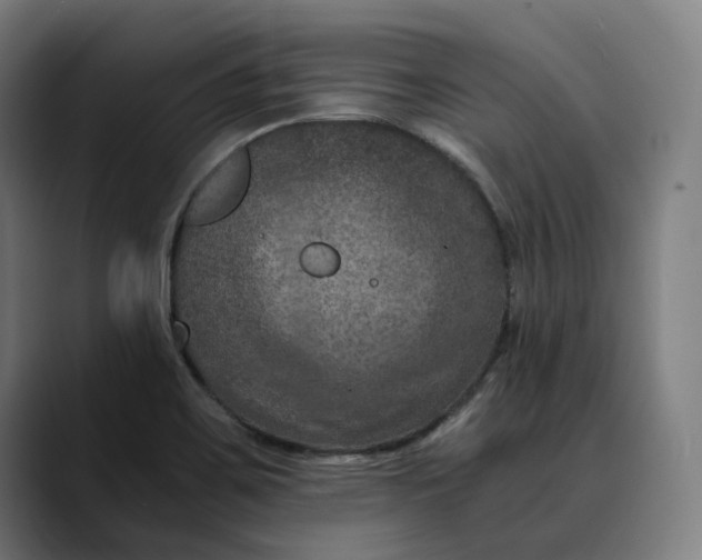 X0000089691467200707121327