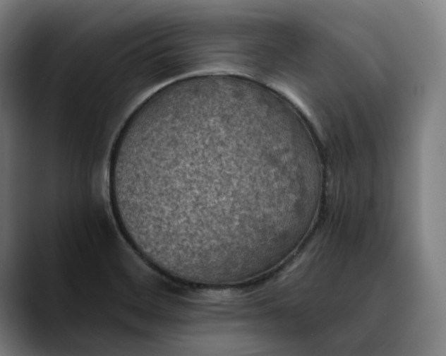 X0000089691468200707121327