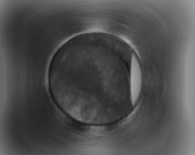 X0000089691469200707121327