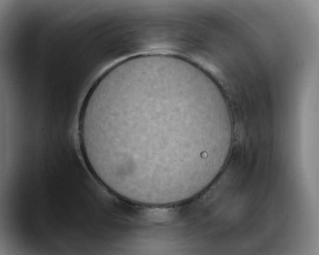 X0000089691470200707121327