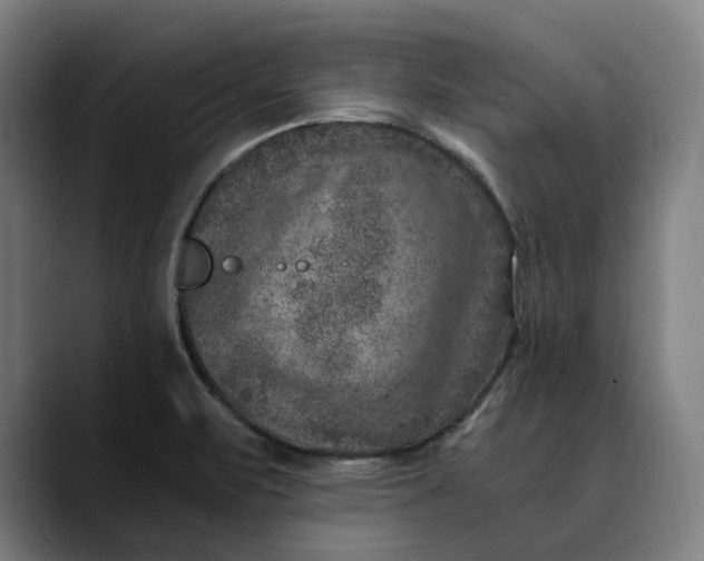 X0000089691471200707121327