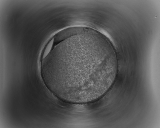 X0000089691472200707121327