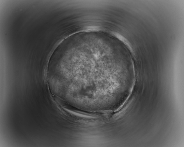 X0000089691473200707121327