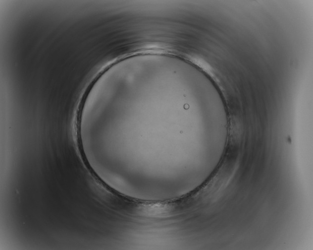 X0000089691474200707121327