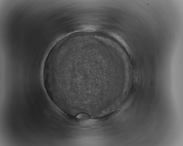 X0000089691475200707121327