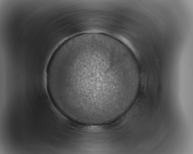 X0000089691476200707121327