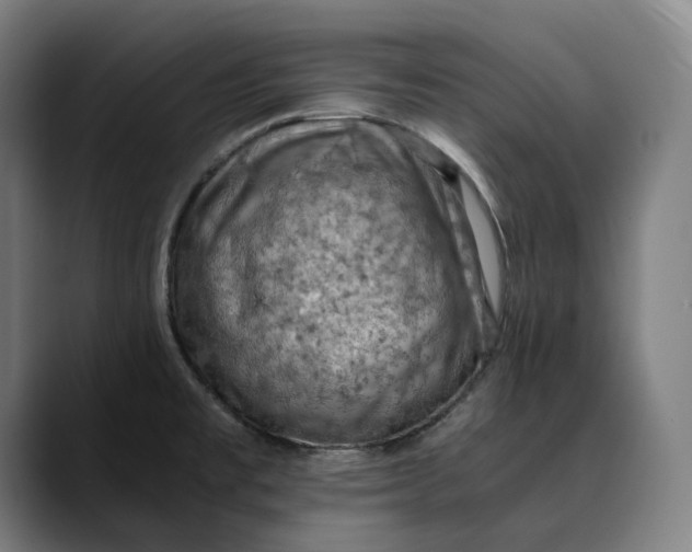 X0000089691477200707121327