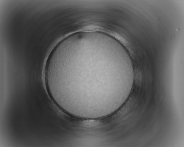 X0000089691478200707121327