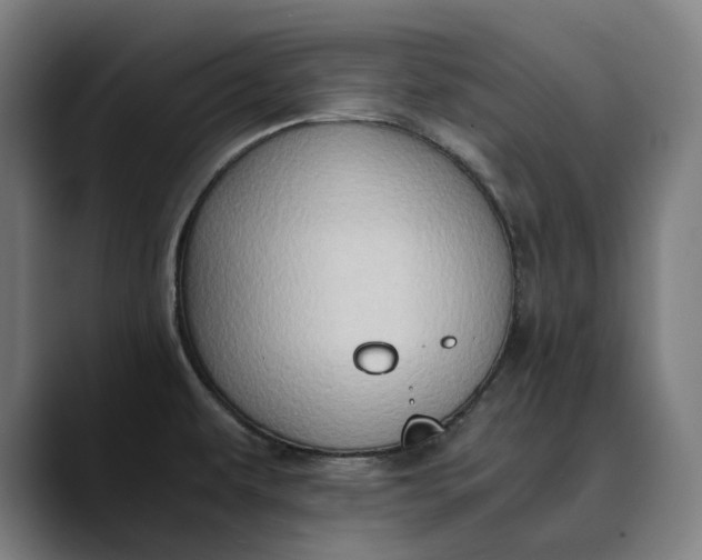 X0000089691479200707121327