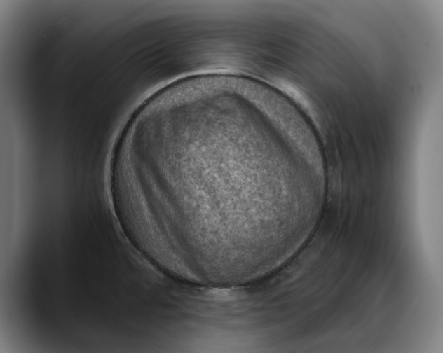 X0000089691480200707121327