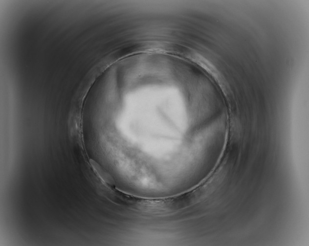 X0000089691481200707121327