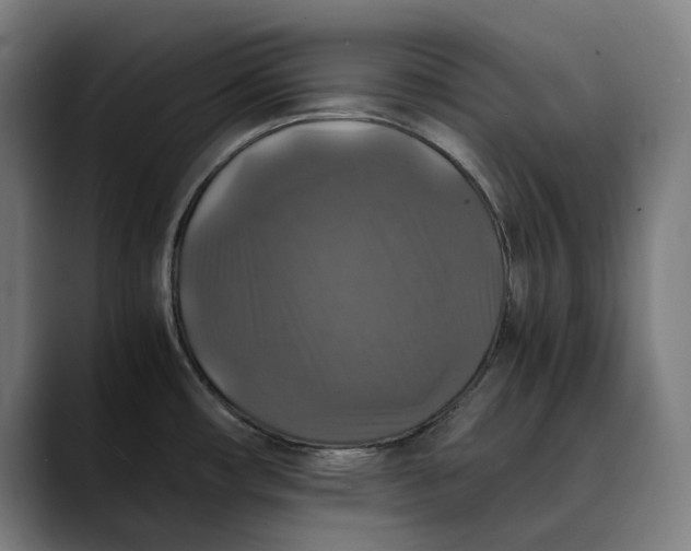 X0000089691482200707121327