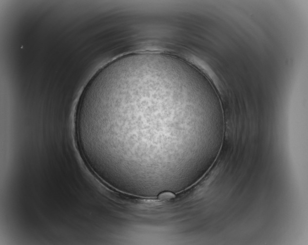 X0000089691483200707121327