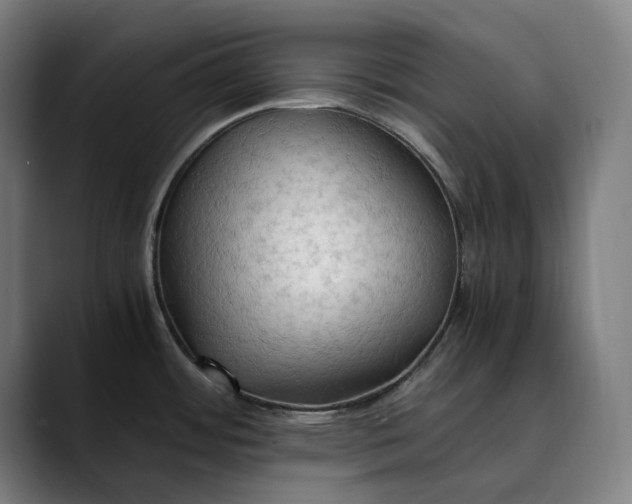 X0000089691484200707121327